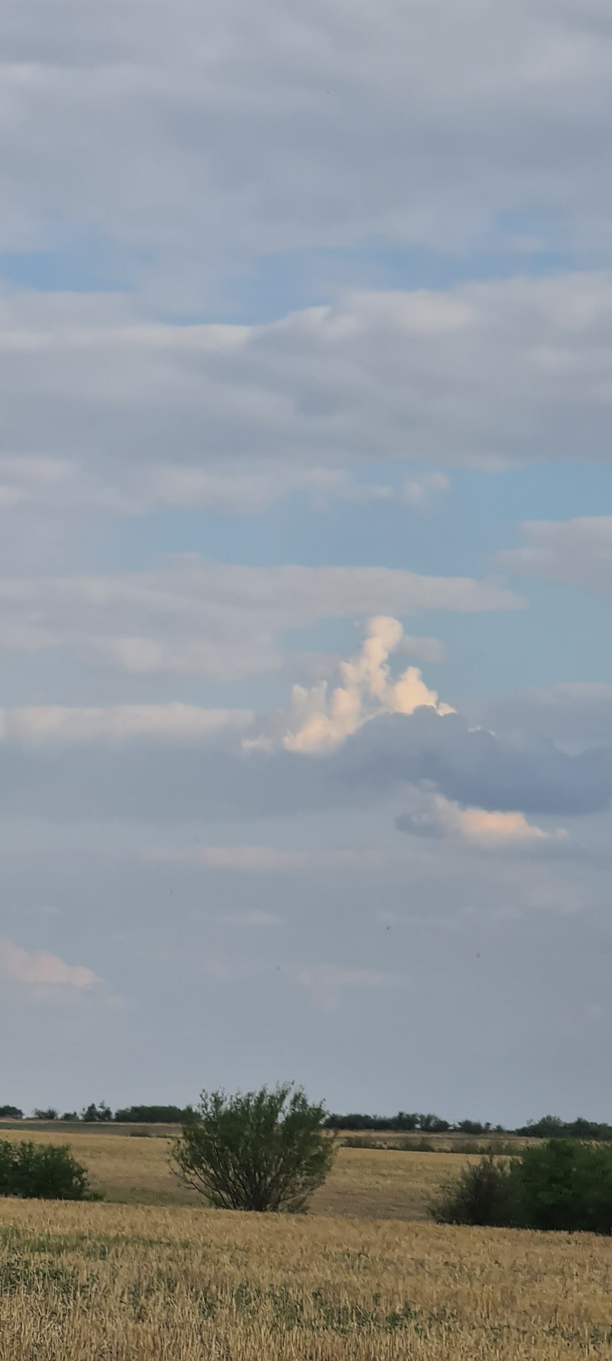 PRIMĂRIA BÂRLA - foto 3