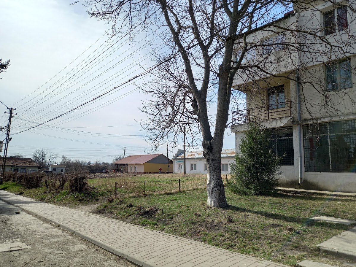 Primăria Brăești - foto 5