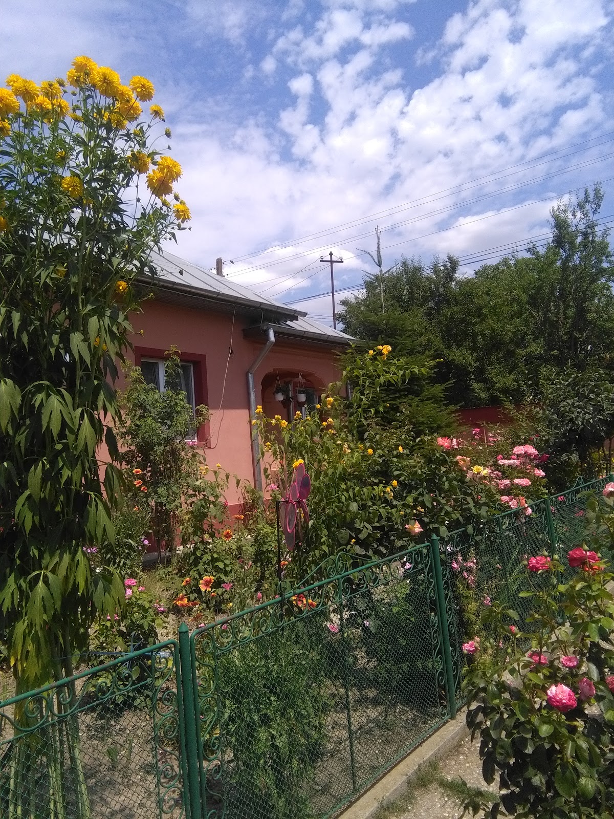 PRIMĂRIA CĂLINEŞTI - foto 3