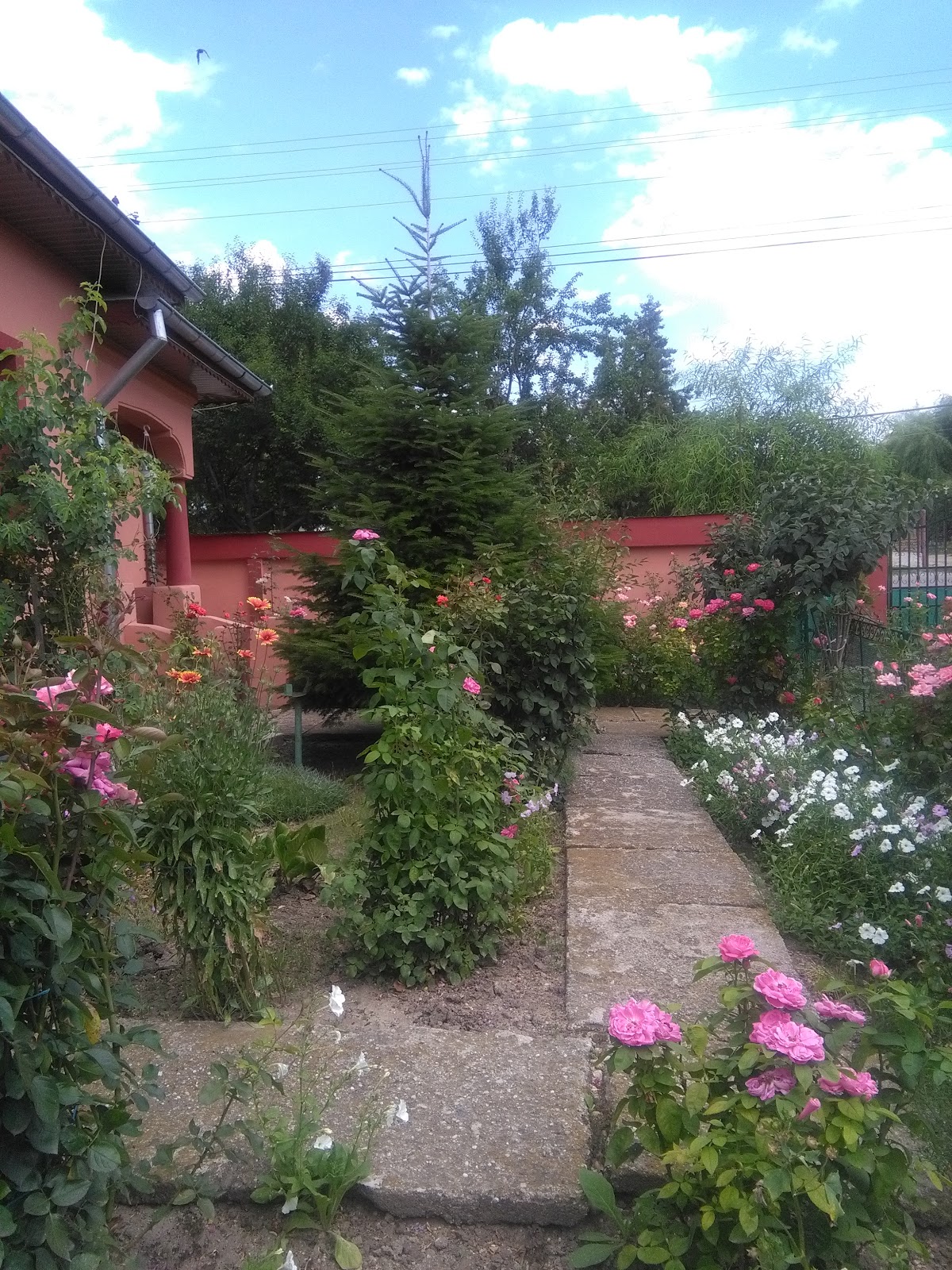 PRIMĂRIA CĂLINEŞTI - foto 4