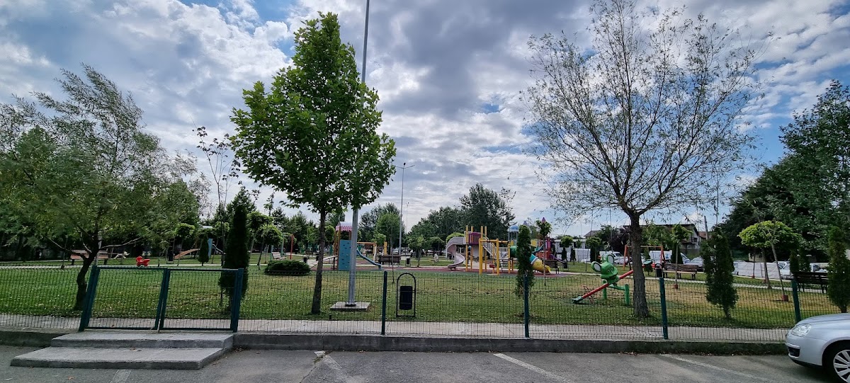 Primaria Chiajna - foto 3
