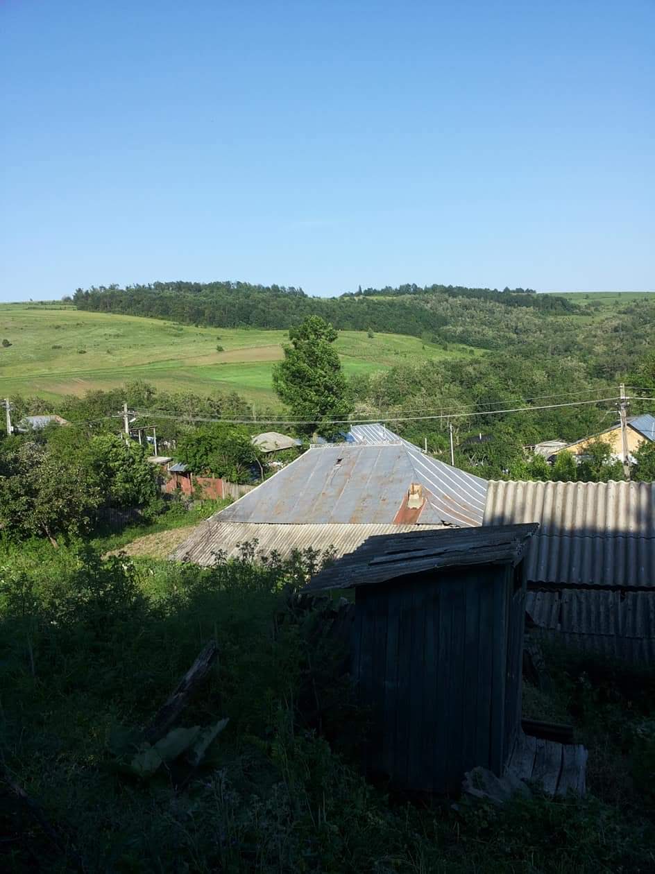 Primăria Colonești - foto 2