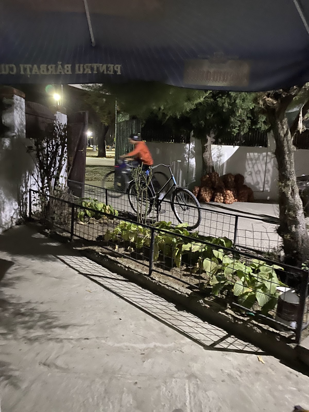 Municipio di Curcani - foto 4