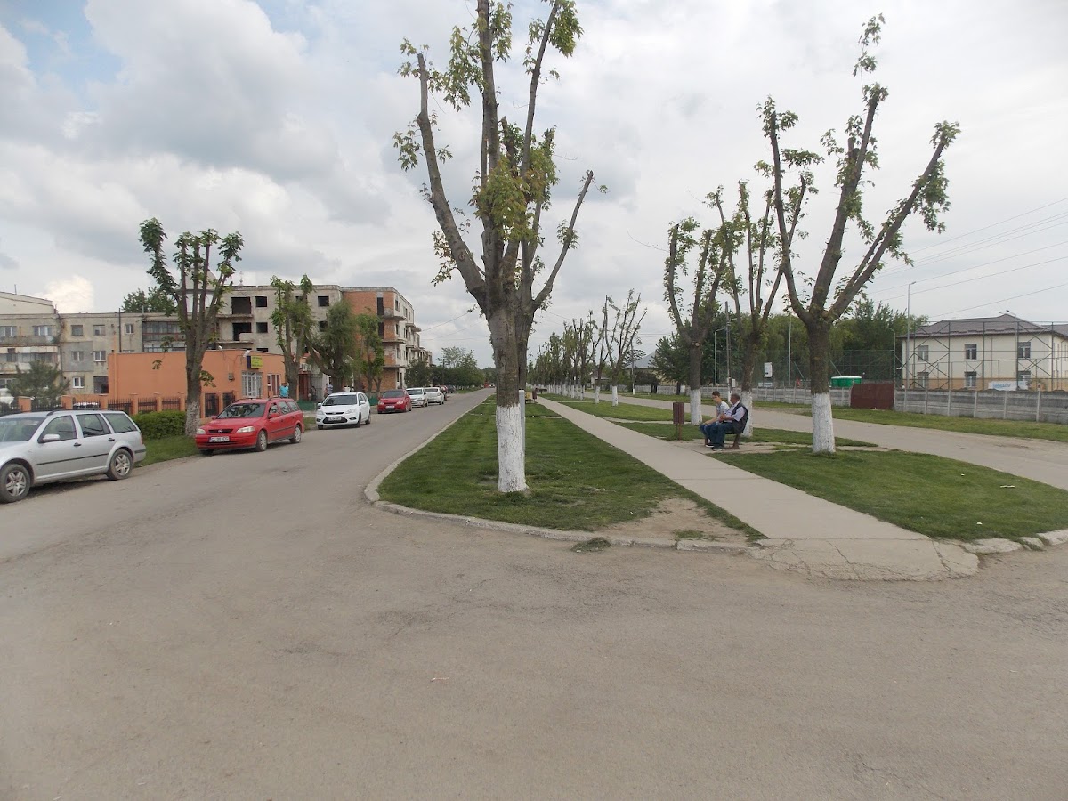 Ayuntamiento de Dragalina - foto 3