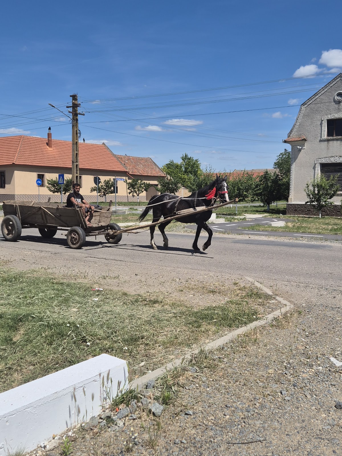 Primăria comunei Iecea Mare - foto 3