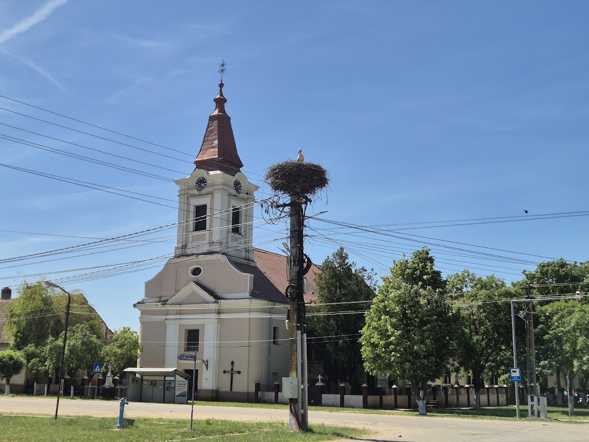 Primăria comunei Iecea Mare - foto 4