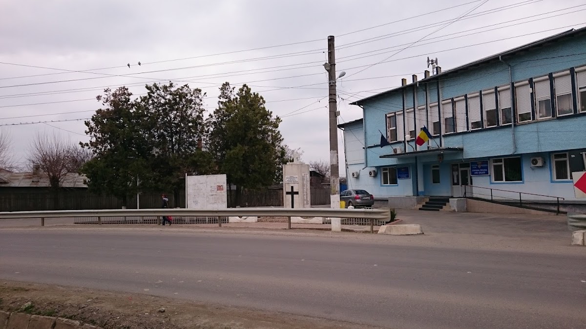 Primăria Comunei Pechea - foto 2