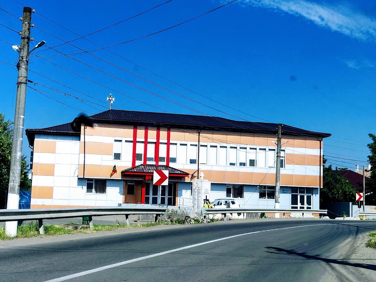 Primăria Comunei Pechea - foto 3