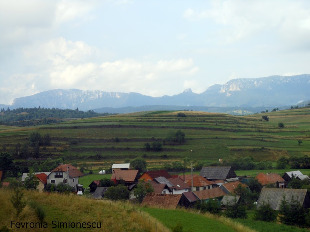 Primăria Comunei Sândominic - foto 3