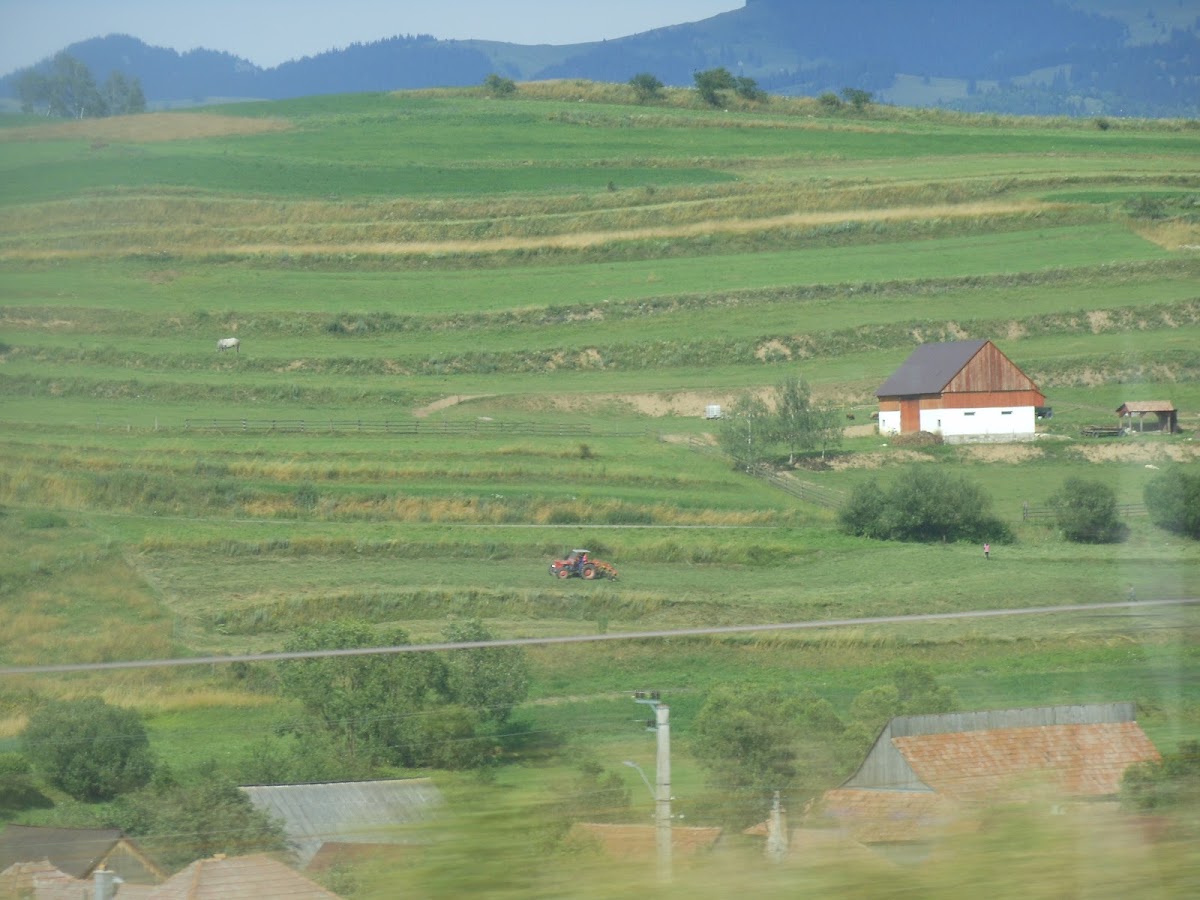 Primăria Comunei Sândominic - foto 4
