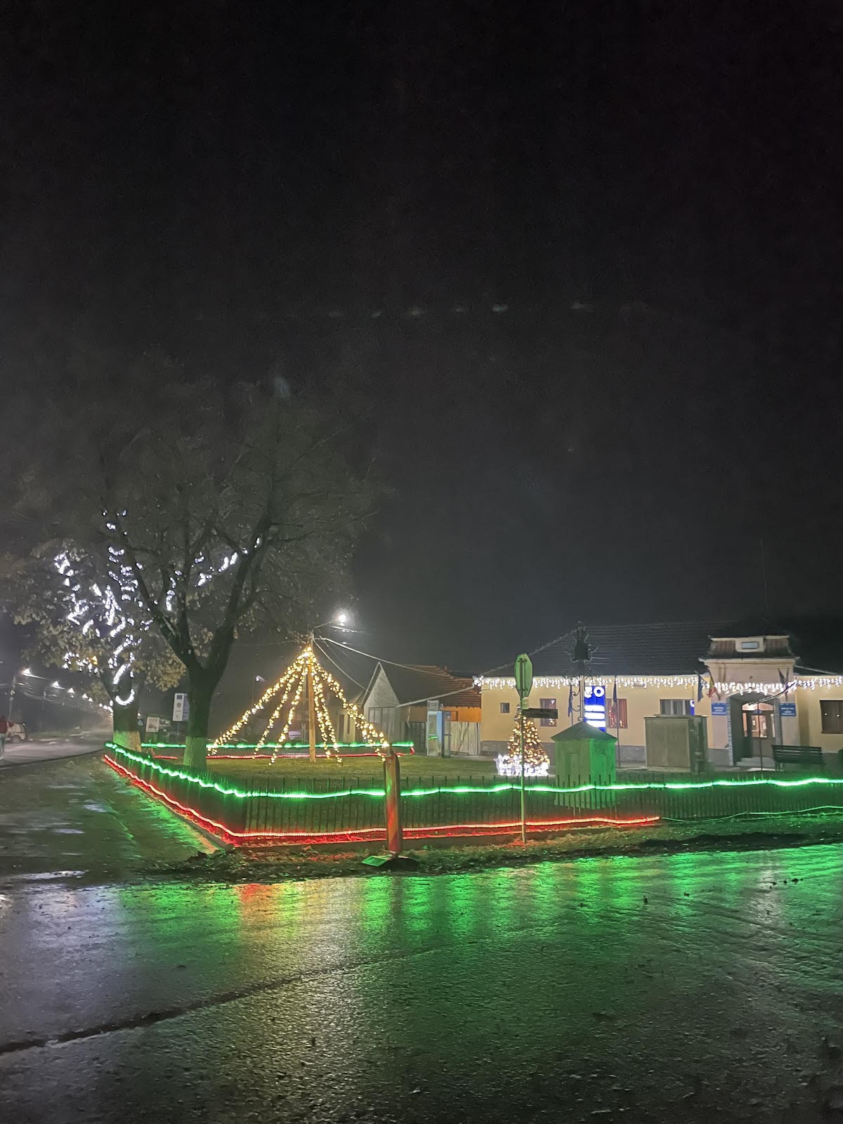 Primăria Comunei Saravale - foto 5