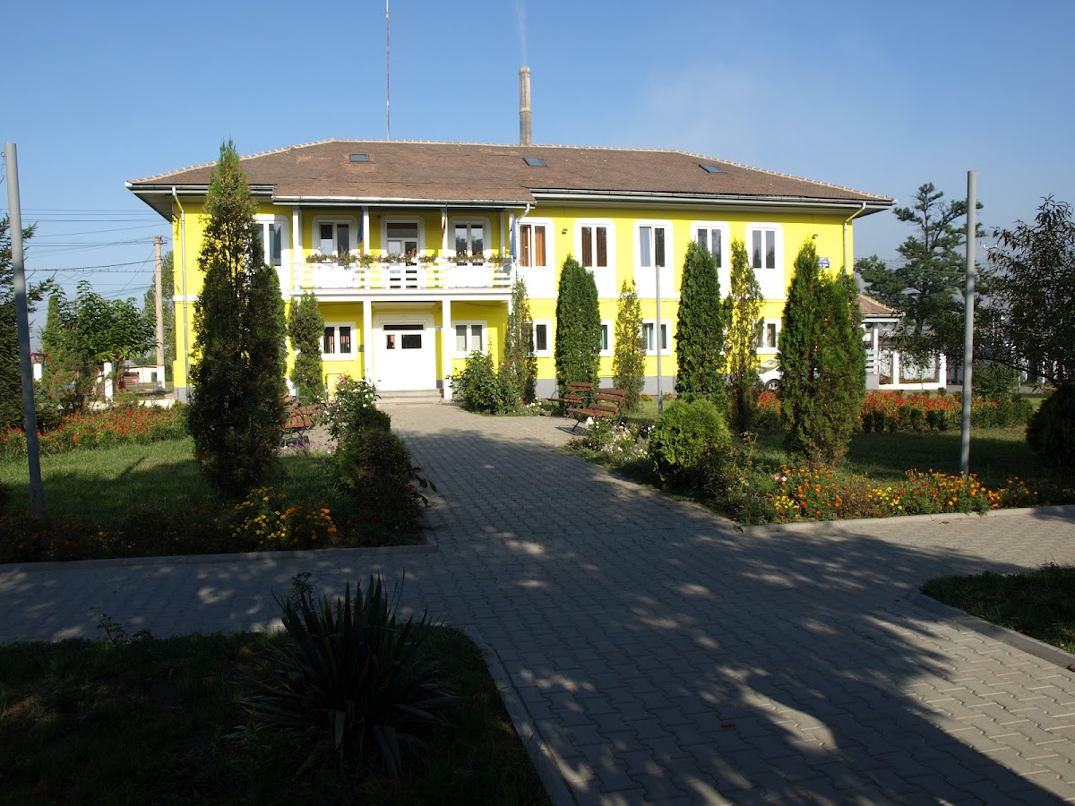 Copșa Mică Town Hall - foto 1