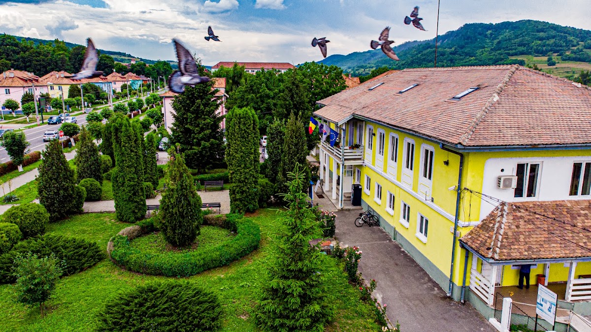 Copșa Mică Town Hall - foto 4