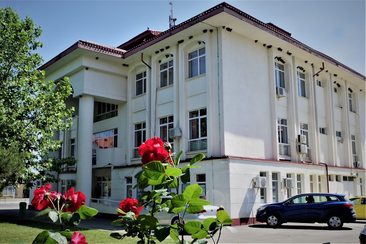 Primăria Cornetu - foto 3