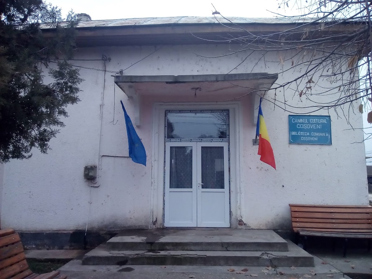 Primăria Coșoveni - foto 4