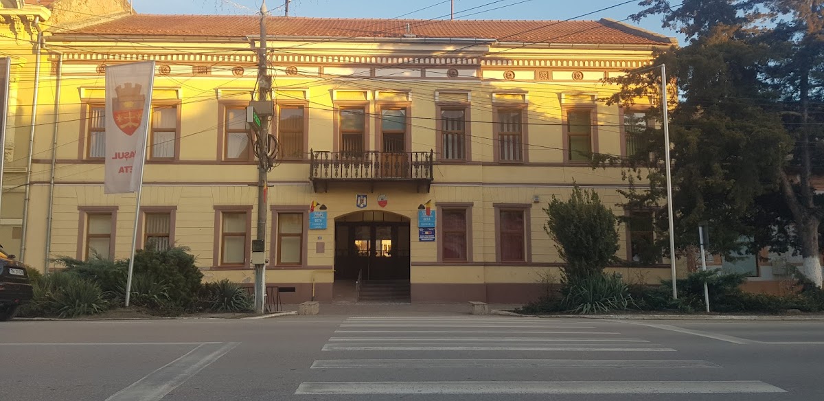 Primăria Deta - foto 1