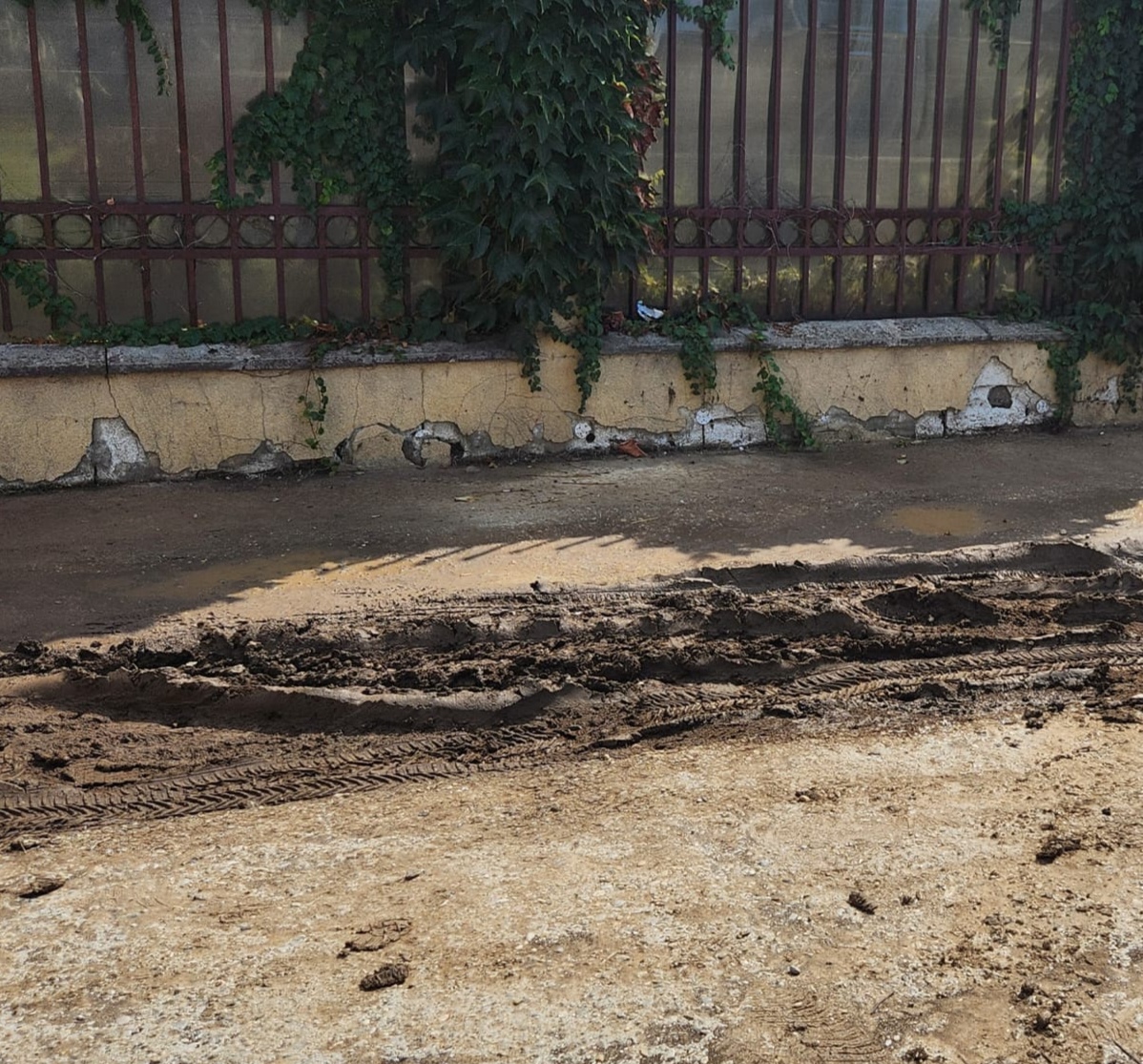 Primăria Domneşti - foto 3