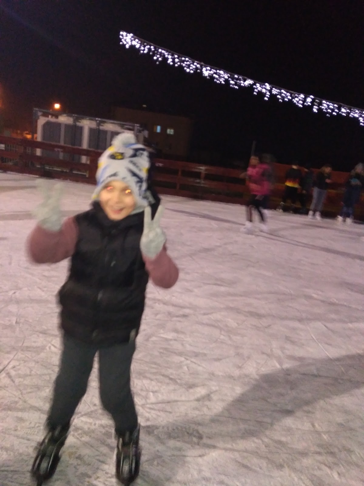 Primăria Domneşti - foto 5