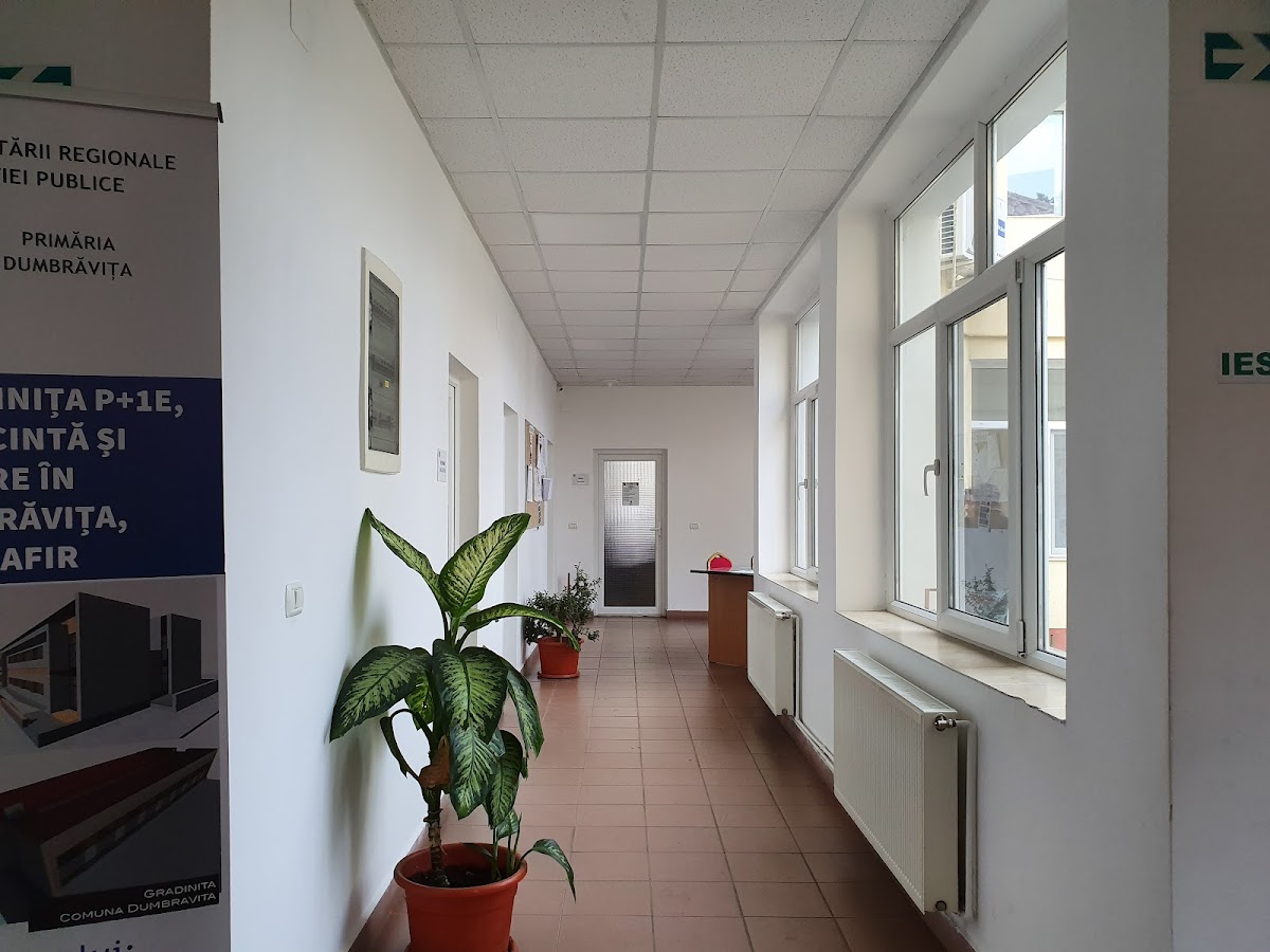 杜姆布拉维察市政厅 - foto 2