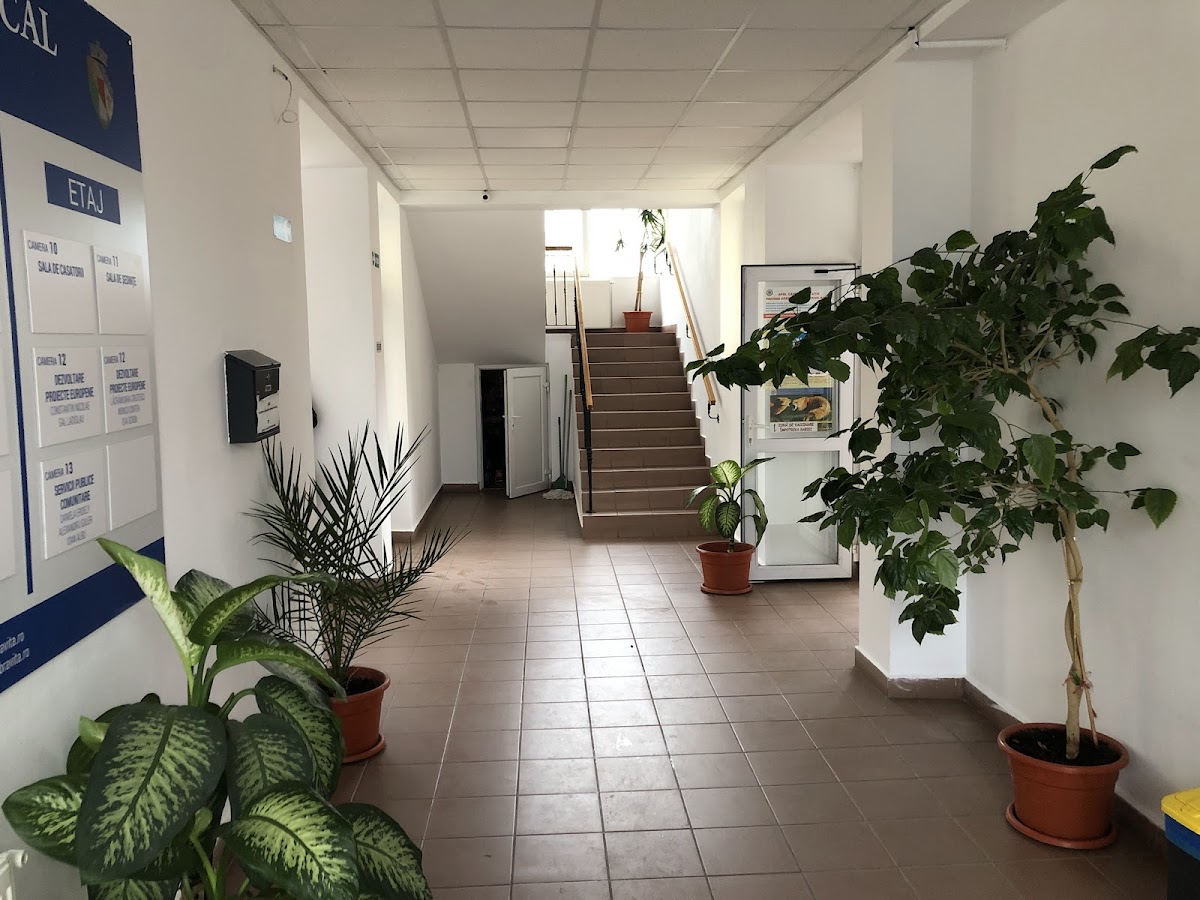 杜姆布拉维察市政厅 - foto 5