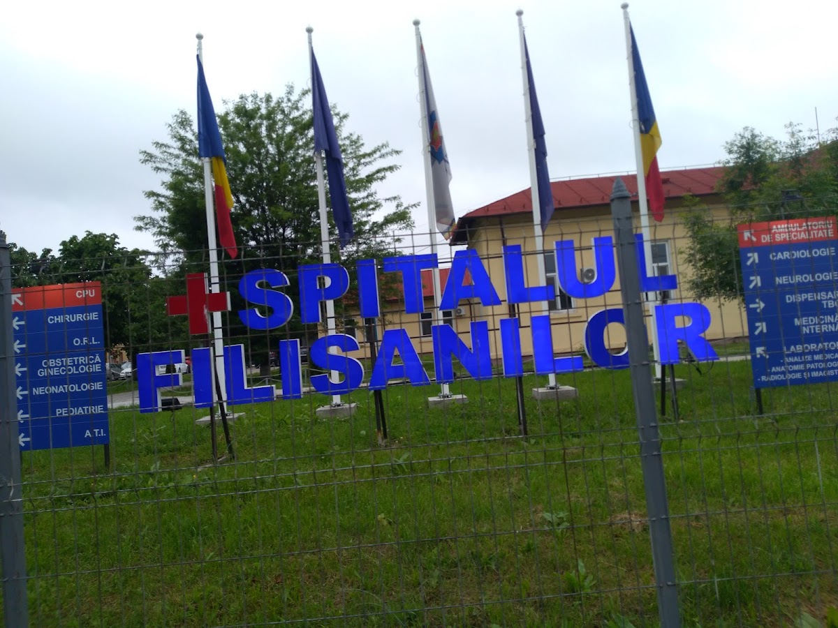 Ayuntamiento de Filiași - foto 5