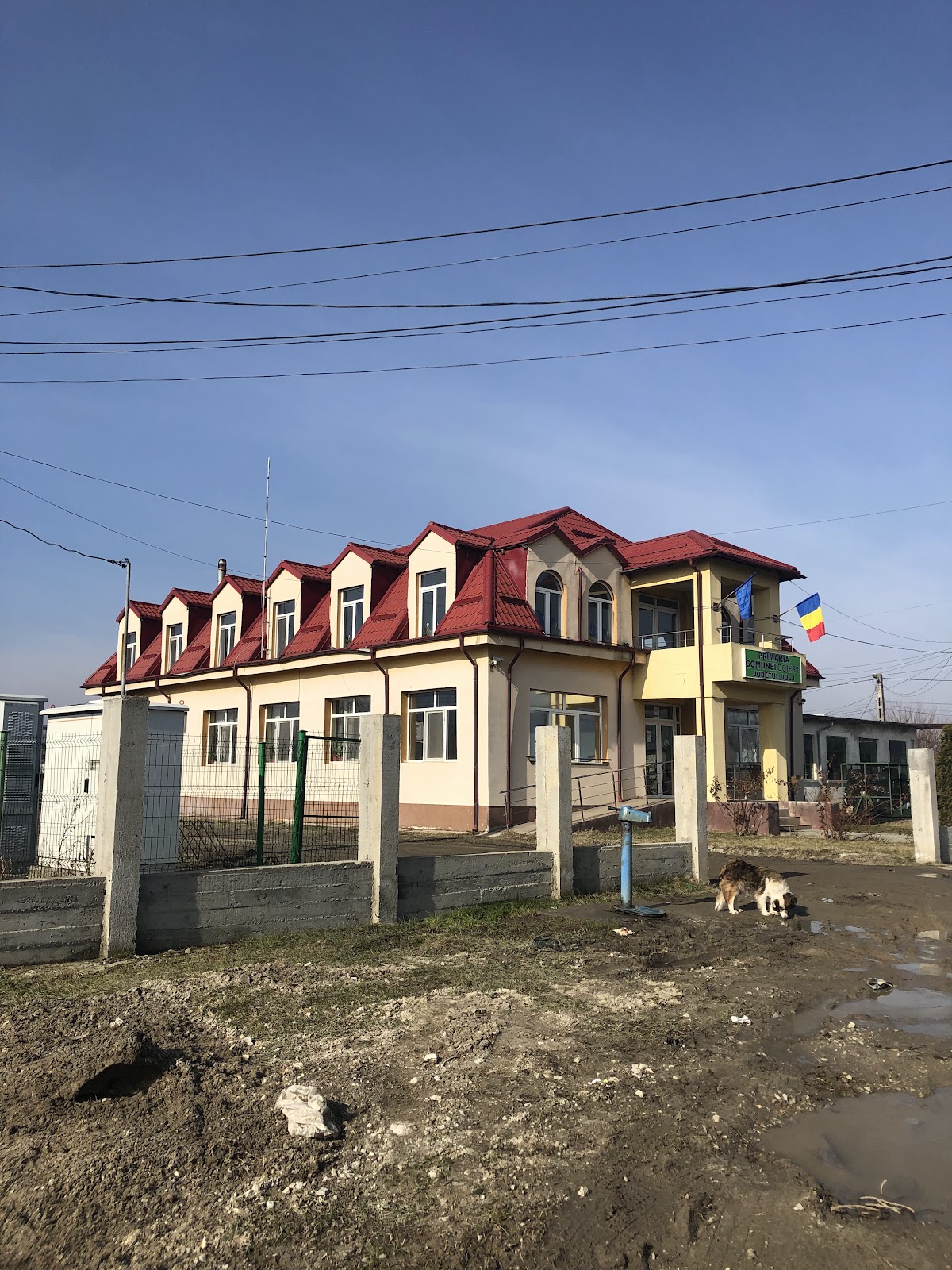 Primăria Goiești - foto 2