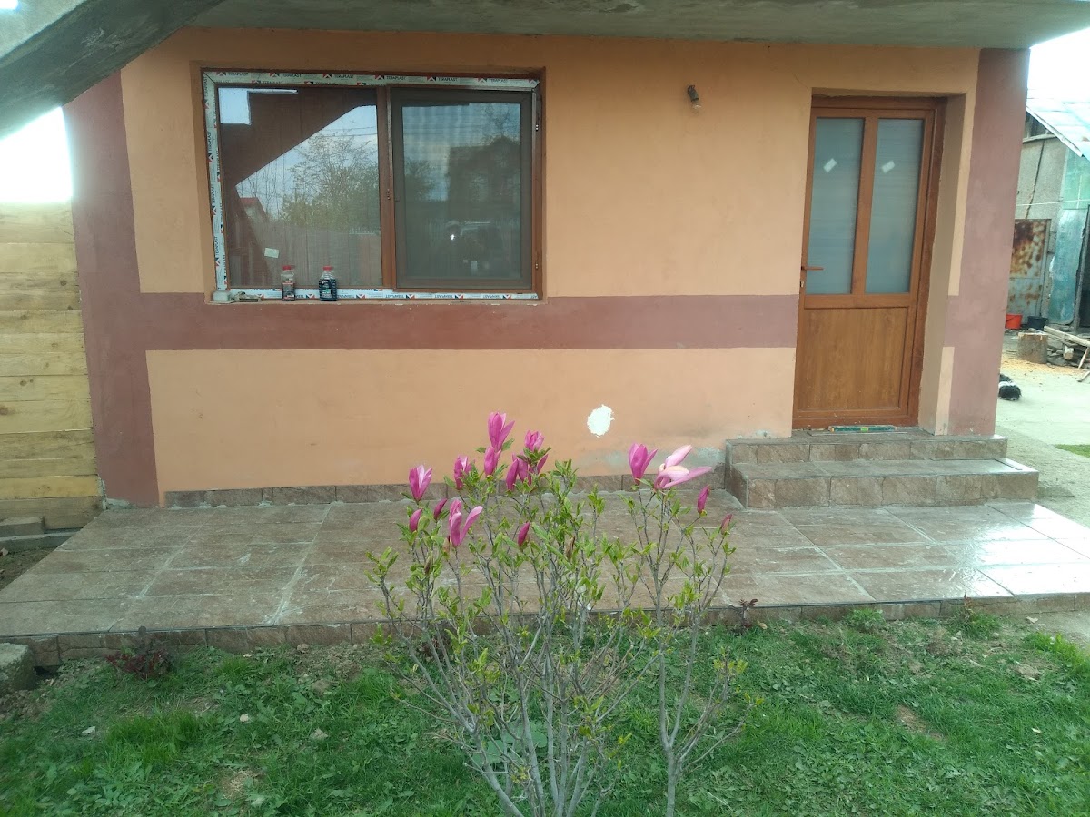 Gura Şuţii