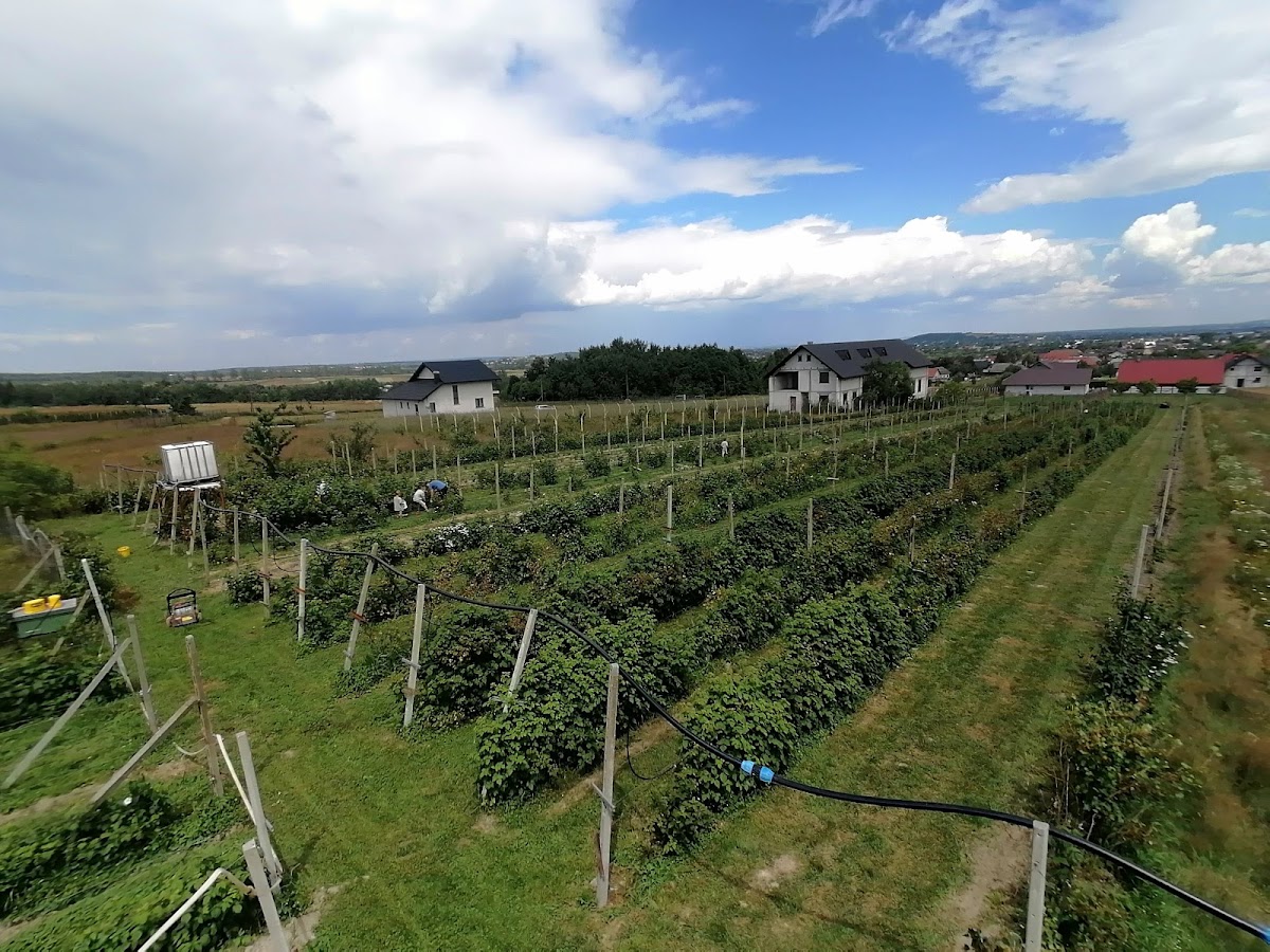 Primăria Horodnic de Sus - foto 4