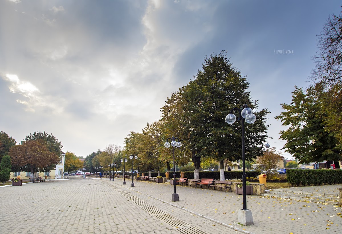 Primăria Isaccea - foto 3