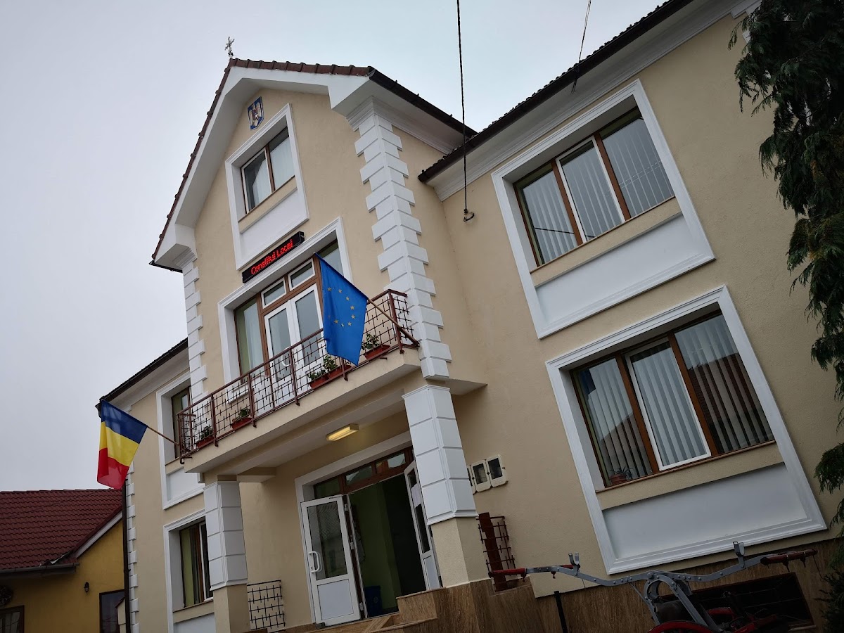 Primăria Jina - foto 3