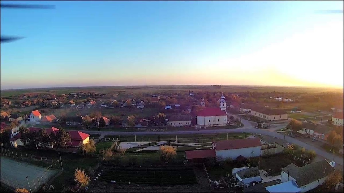 Primaria Livezile - foto 4
