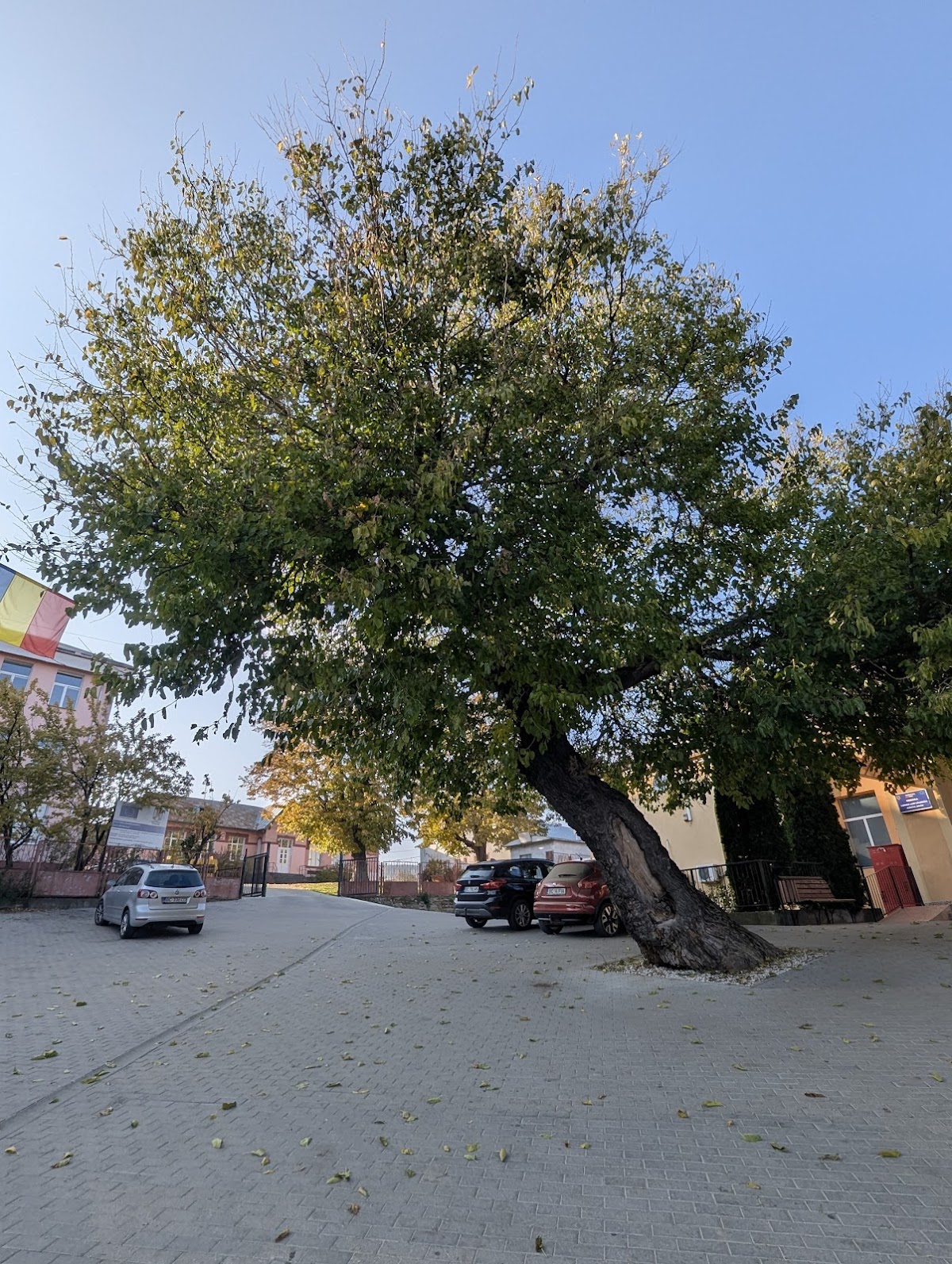 Primăria Luizi-Călugăra - foto 5