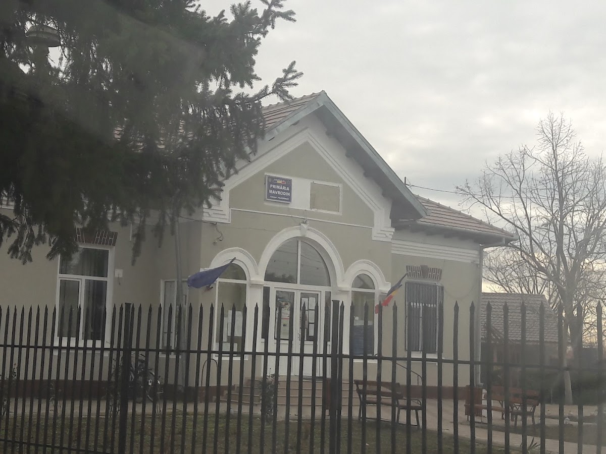 Mavrodin