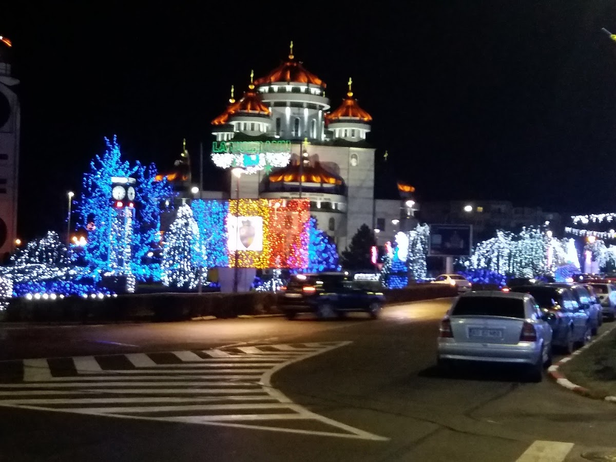 Primăria Mioveni - foto 2