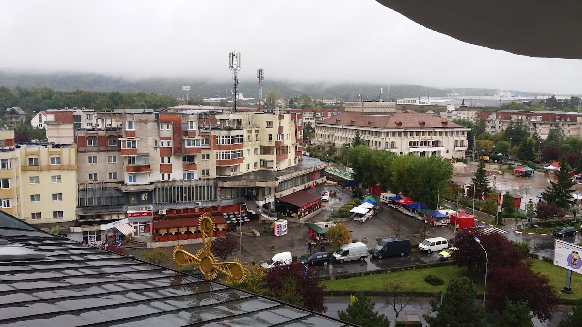 Primăria Mioveni - foto 3