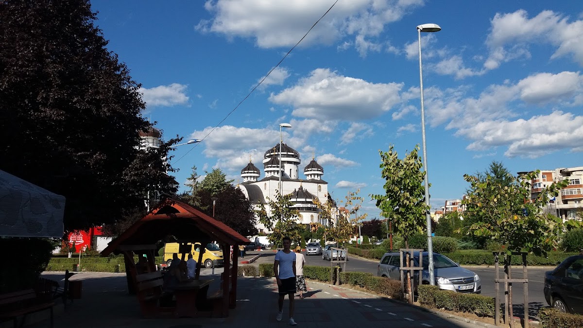 Primăria Mioveni - foto 4