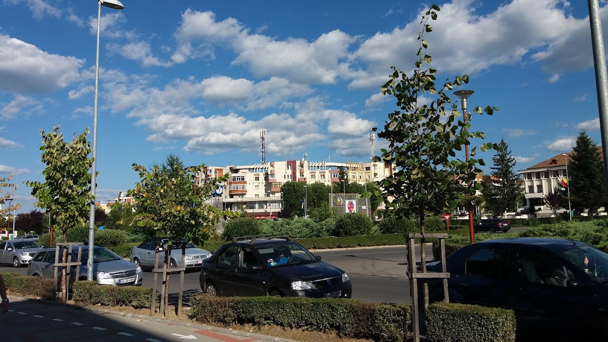 Primăria Mioveni - foto 5