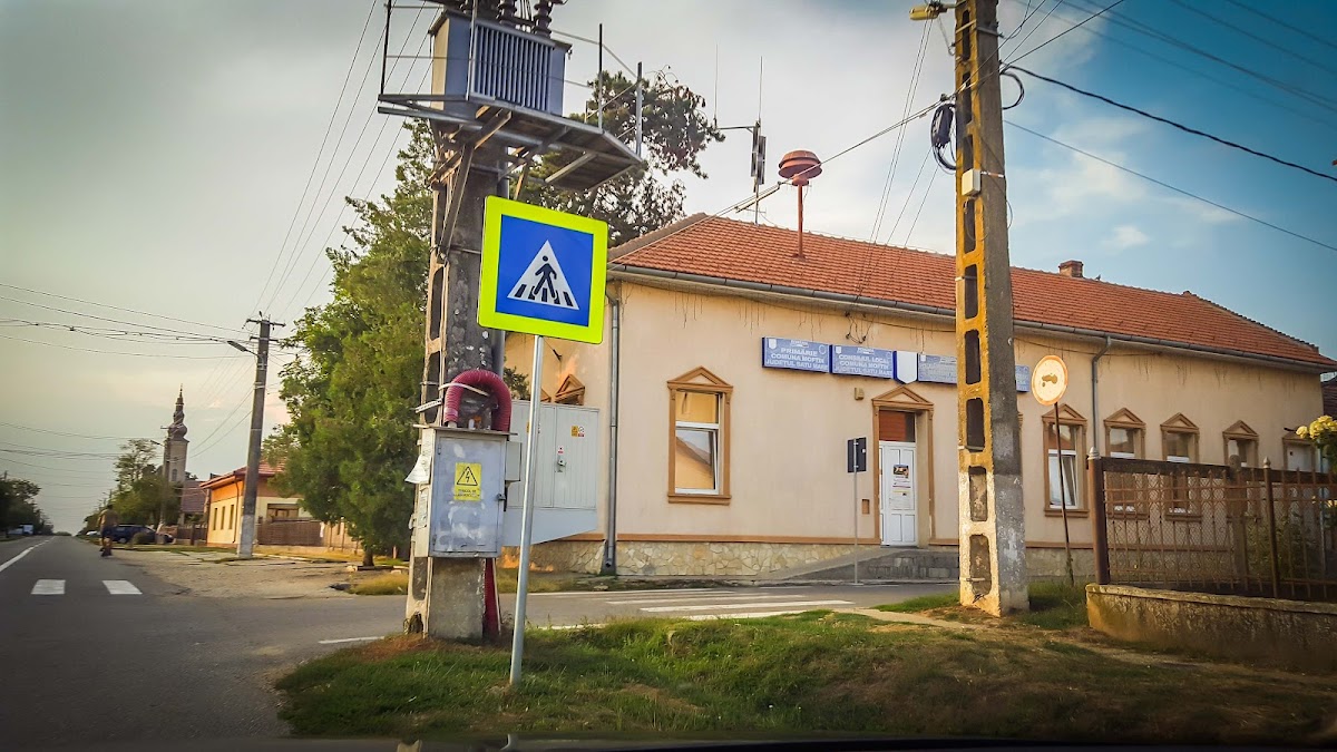 Primăria Moftin - foto 5