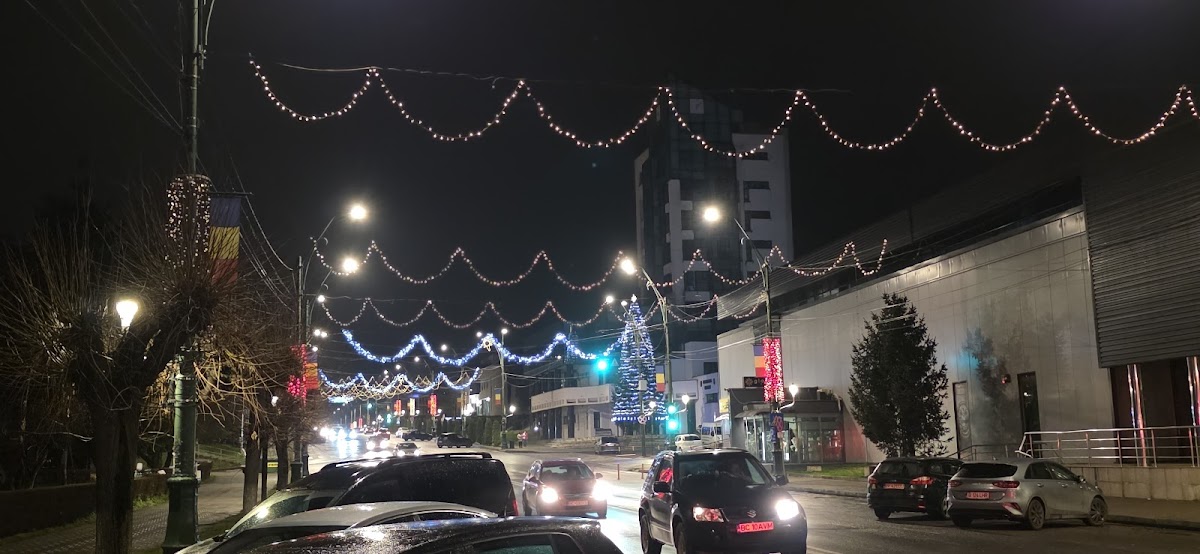 Onești Városháza - foto 3