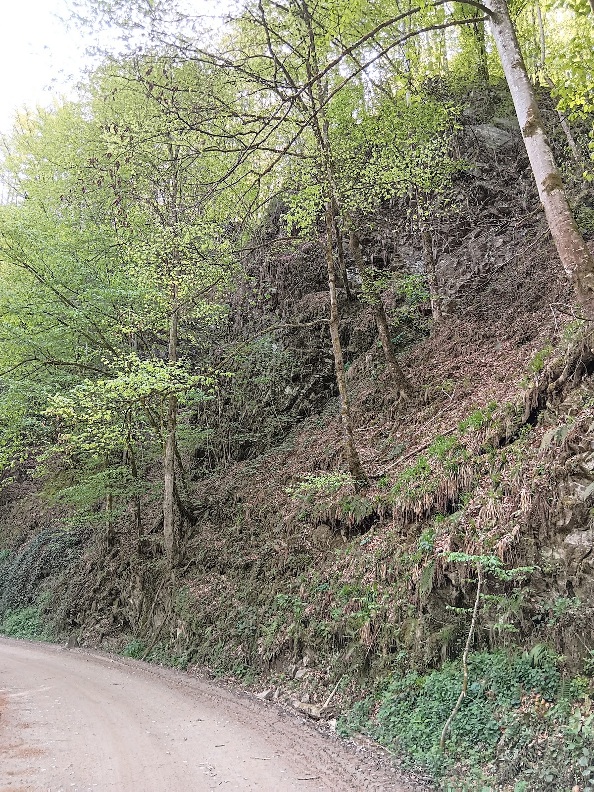 Mairie de Nădrag - foto 4