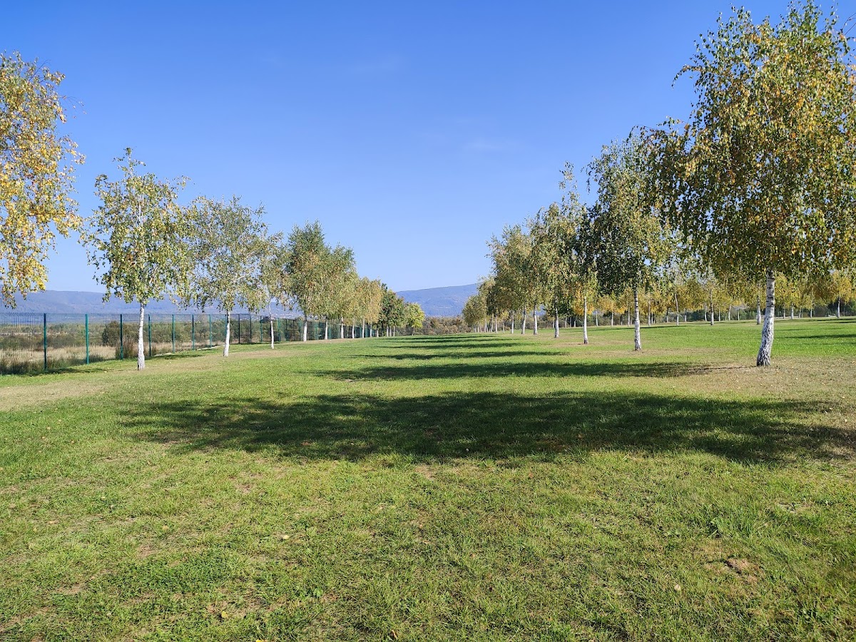 Negrești Oaș 市政厅 - foto 4