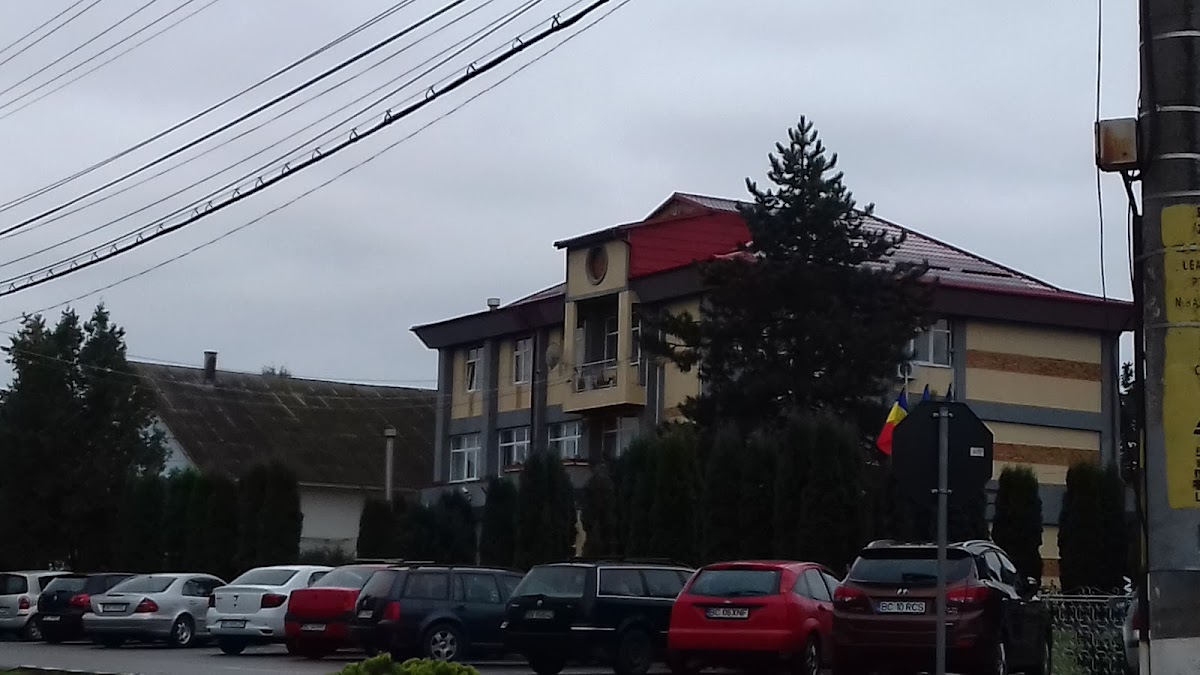 Ayuntamiento de Nicolae Bălcescu - foto 2