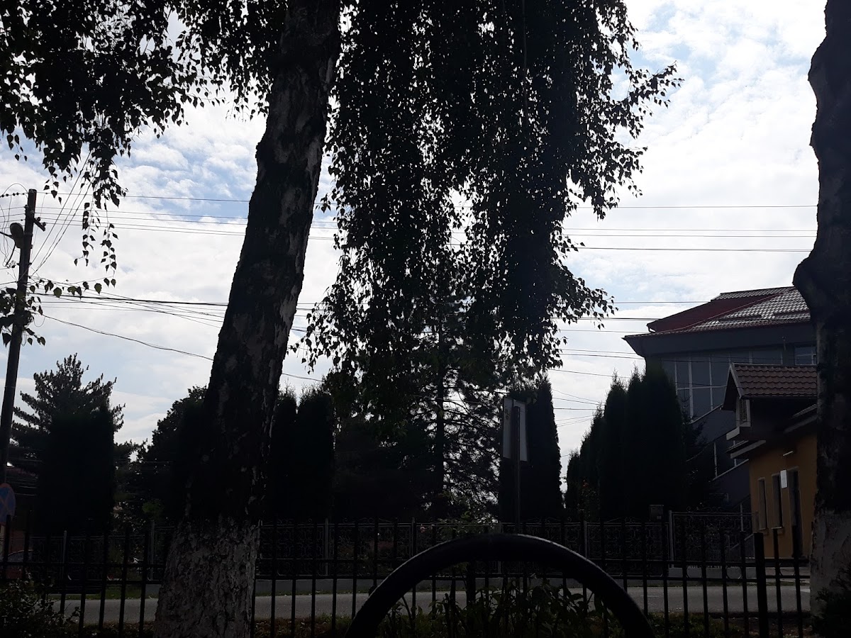 Ayuntamiento de Nicolae Bălcescu - foto 3