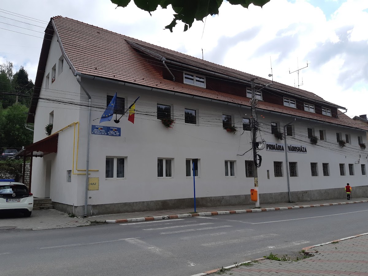 Primăria Oraşului Bălan - foto 2