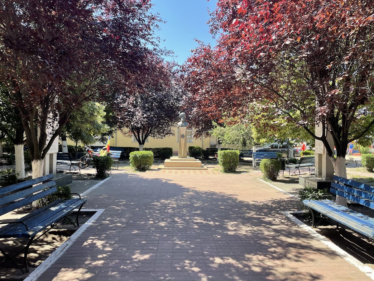 Rathaus von Dăbuleni - foto 4