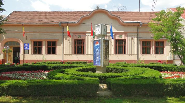 Mairie de Pecica - foto 2