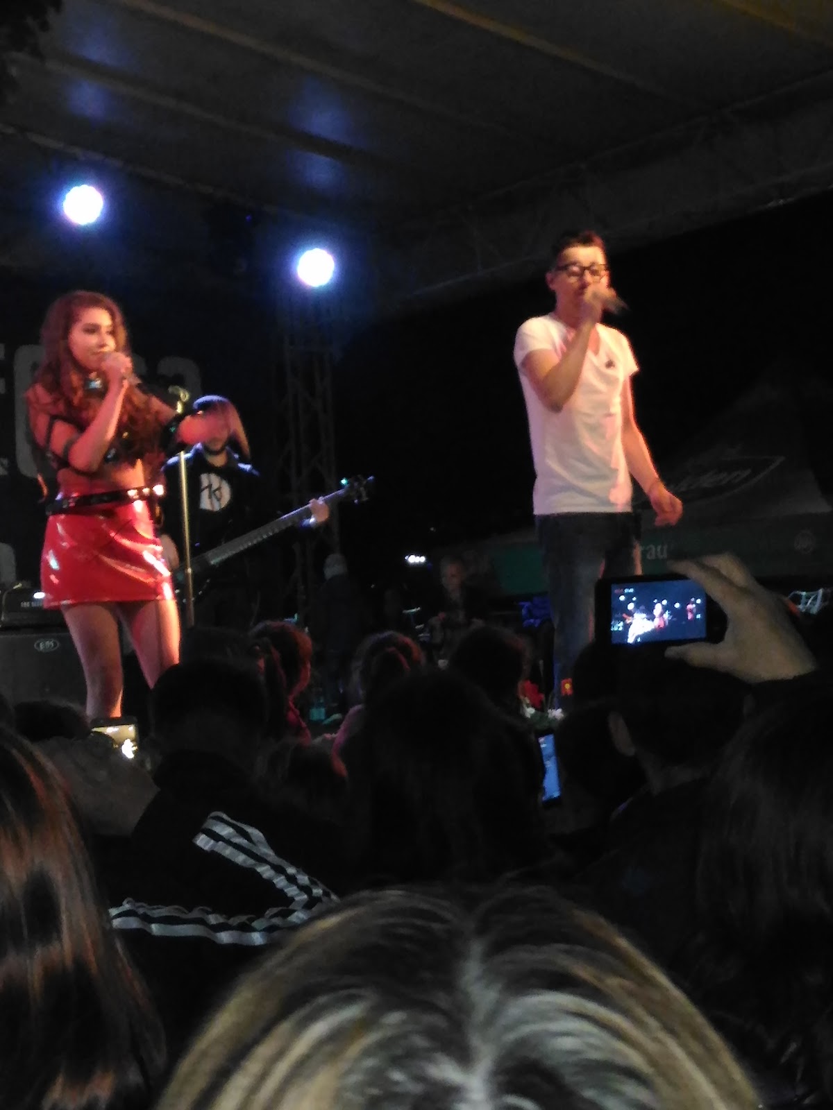 Mairie de Pecica - foto 5