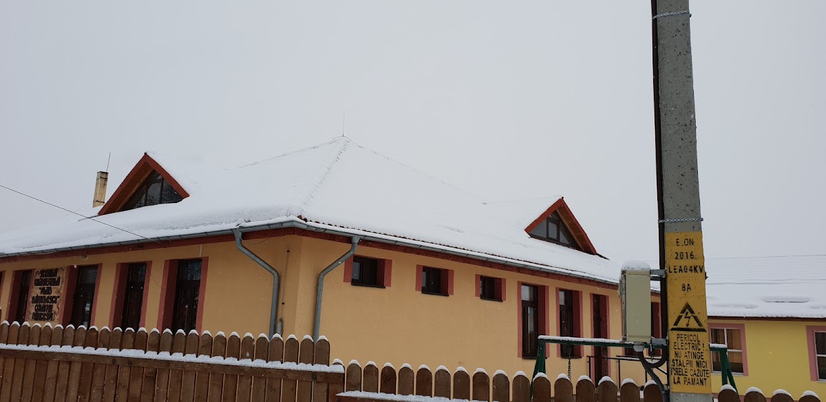Municipio di Pâncești - foto 3