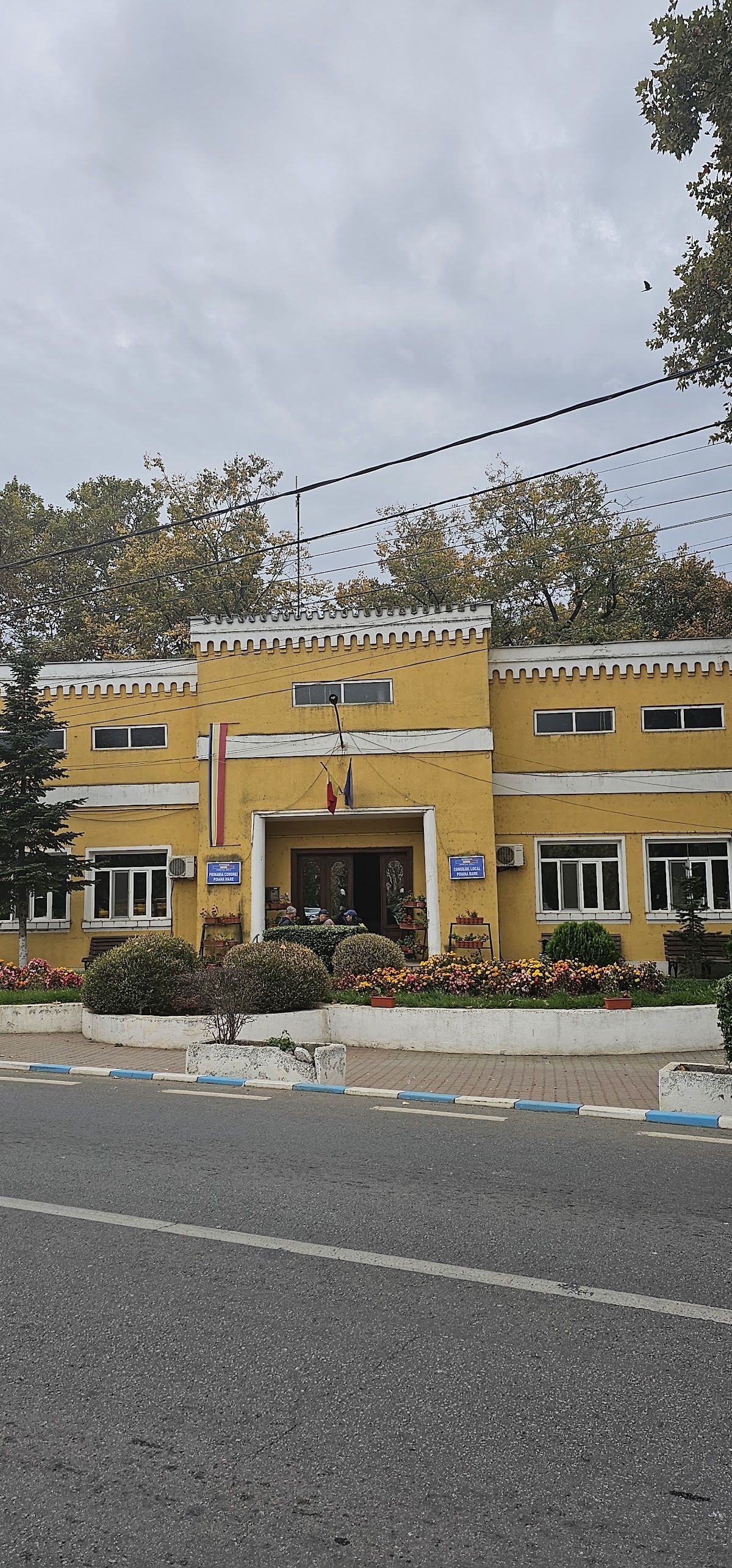 Primăria Poiana Mare - foto 1