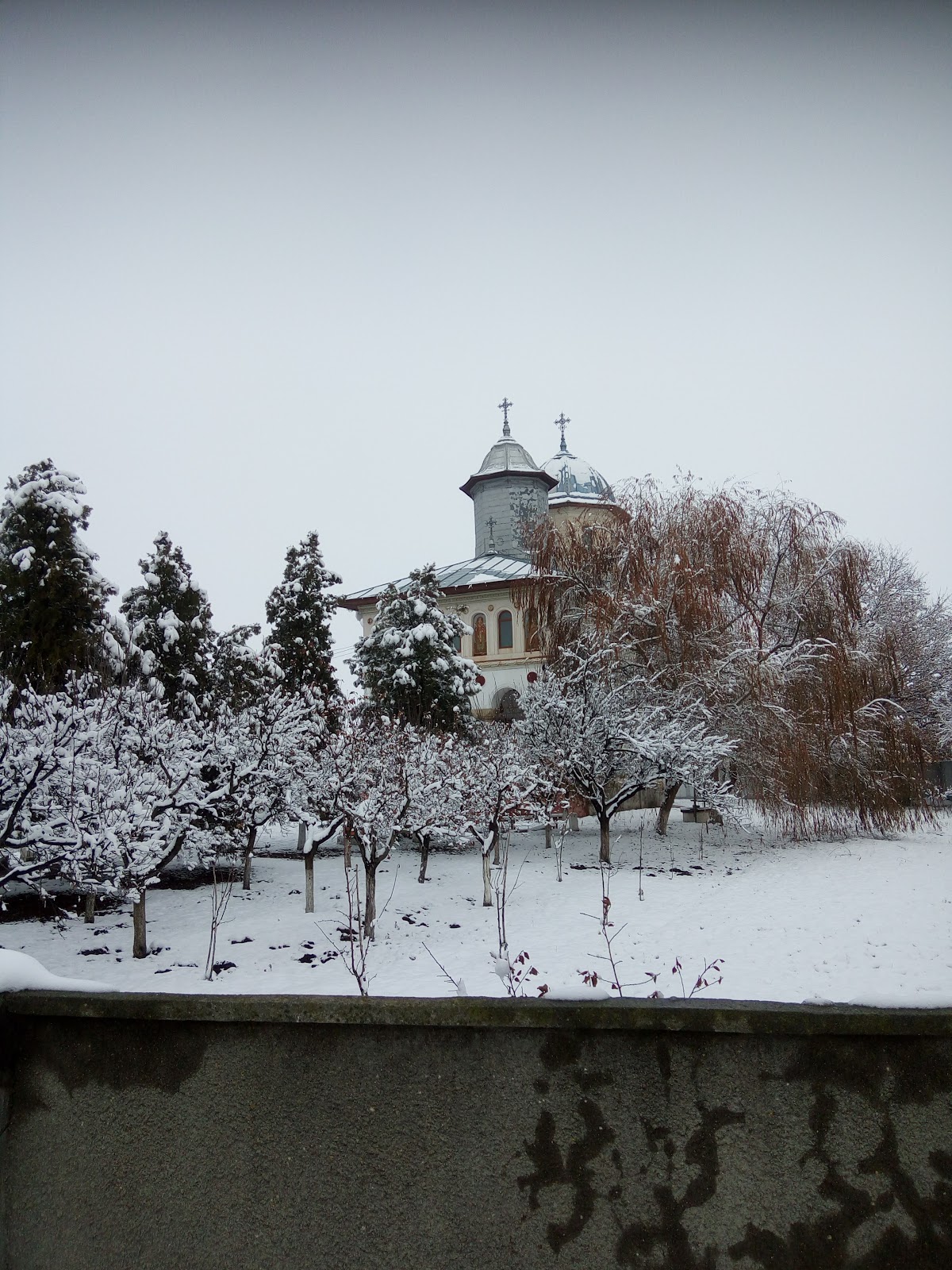 Primăria Poroschia - foto 4